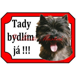 Tabulka kernteriér, cairn terier