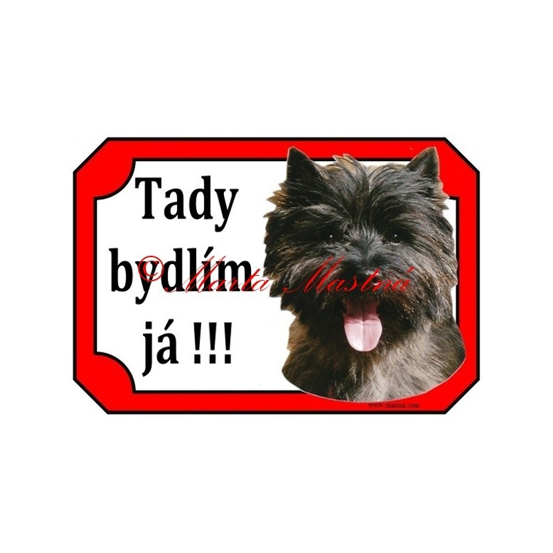 Tabulka kernteriér, cairn terier