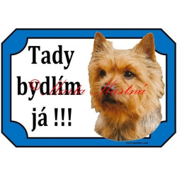 Tabulka norvič teriér, norwich terier