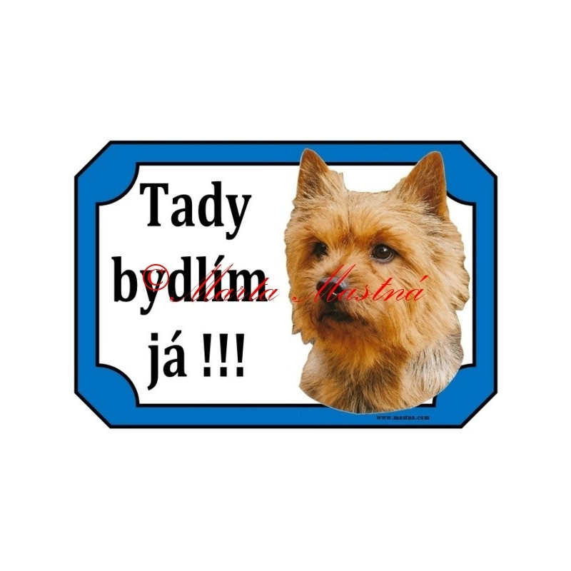 Tabulka norvič teriér, norwich terier