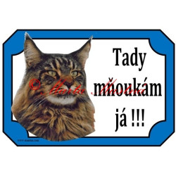 Tabulka kočka mainská mývalí, maine coon
