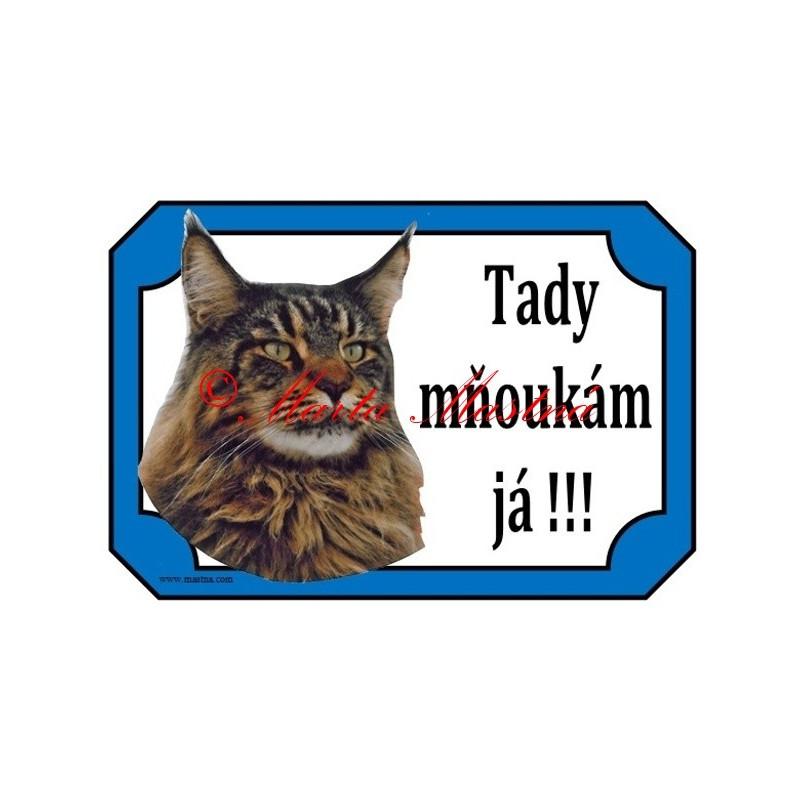 Tabulka kočka mainská mývalí, maine coon