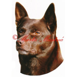 Samolepka australská kelpie