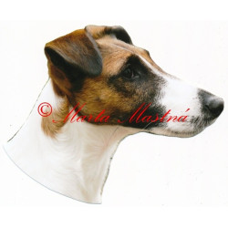 Samolepka havanský psík