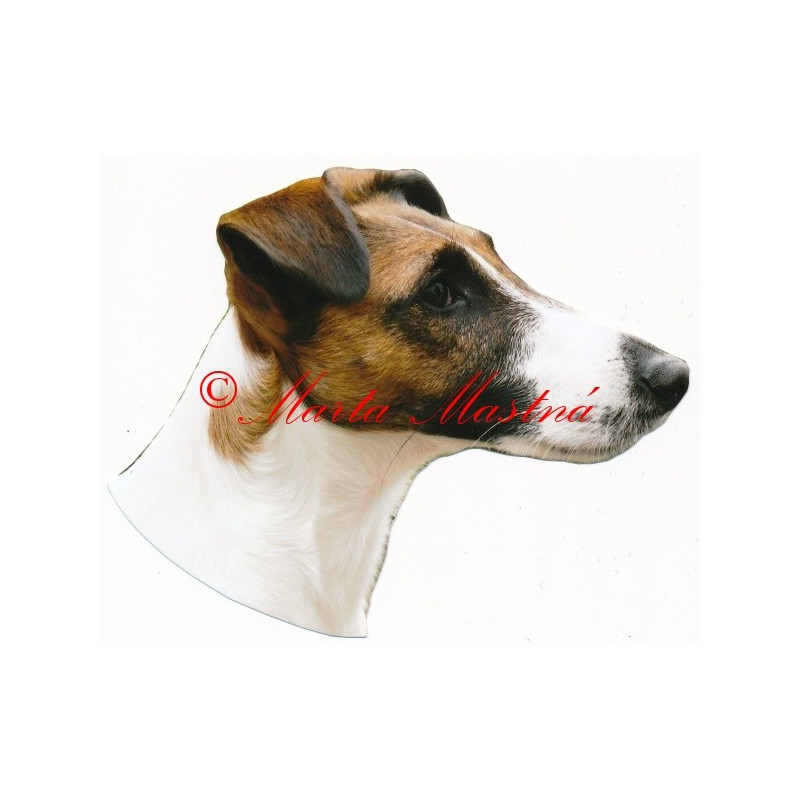 Samolepka havanský psík