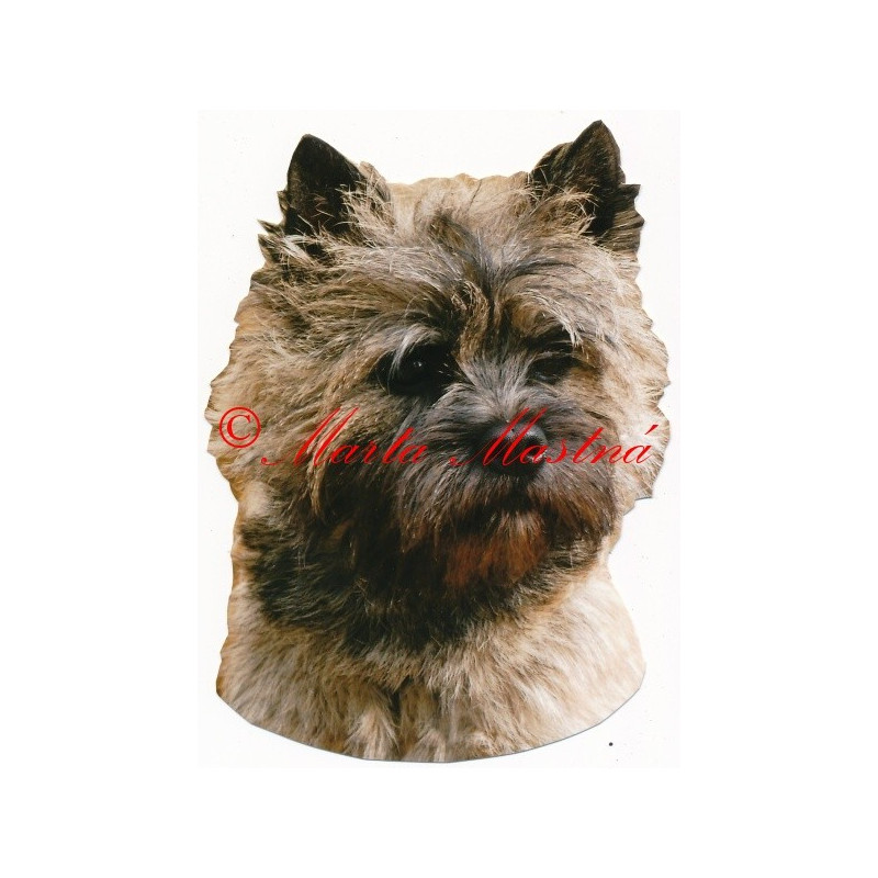 Samolepka kernteriér