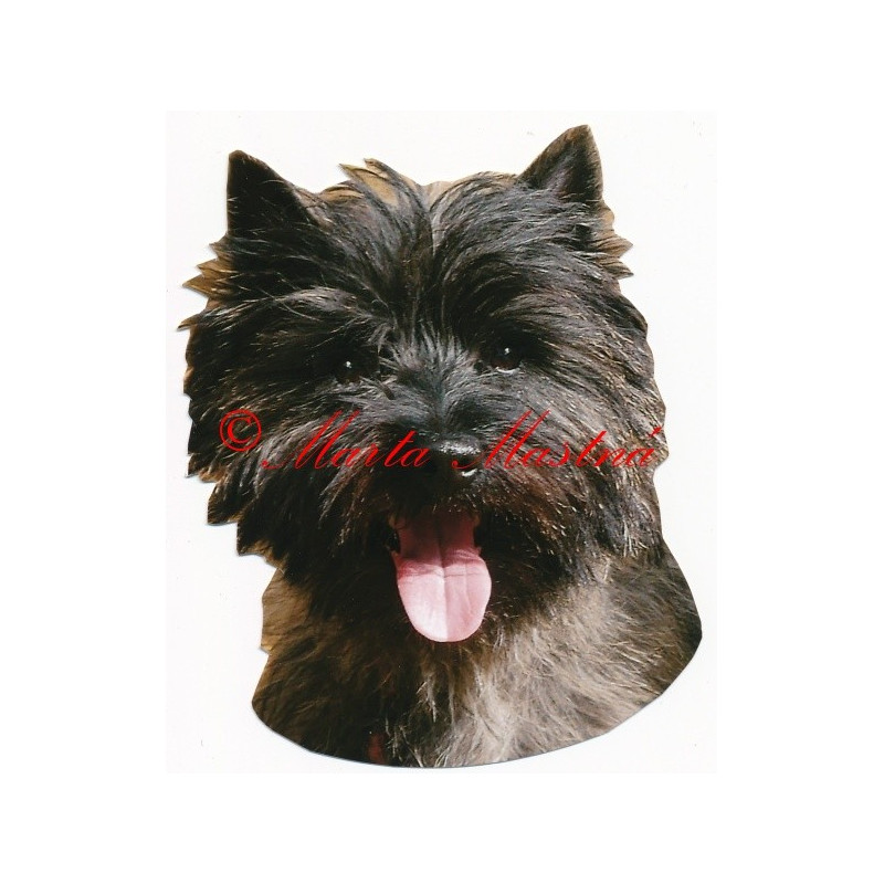 Samolepka kernteriér