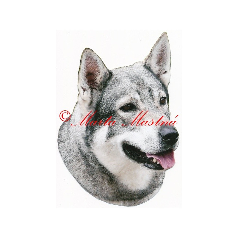 Samolepka švédský losí pes, jämthund