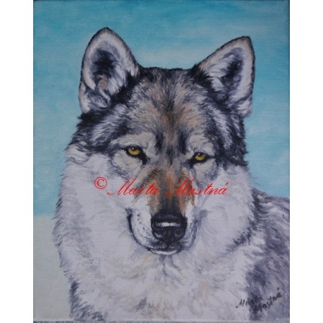 Obraz československý vlčák, vlk, olejomalba na plátně