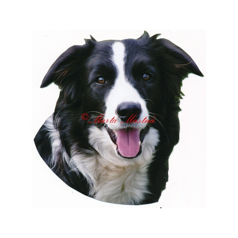 Samolepka border kolie