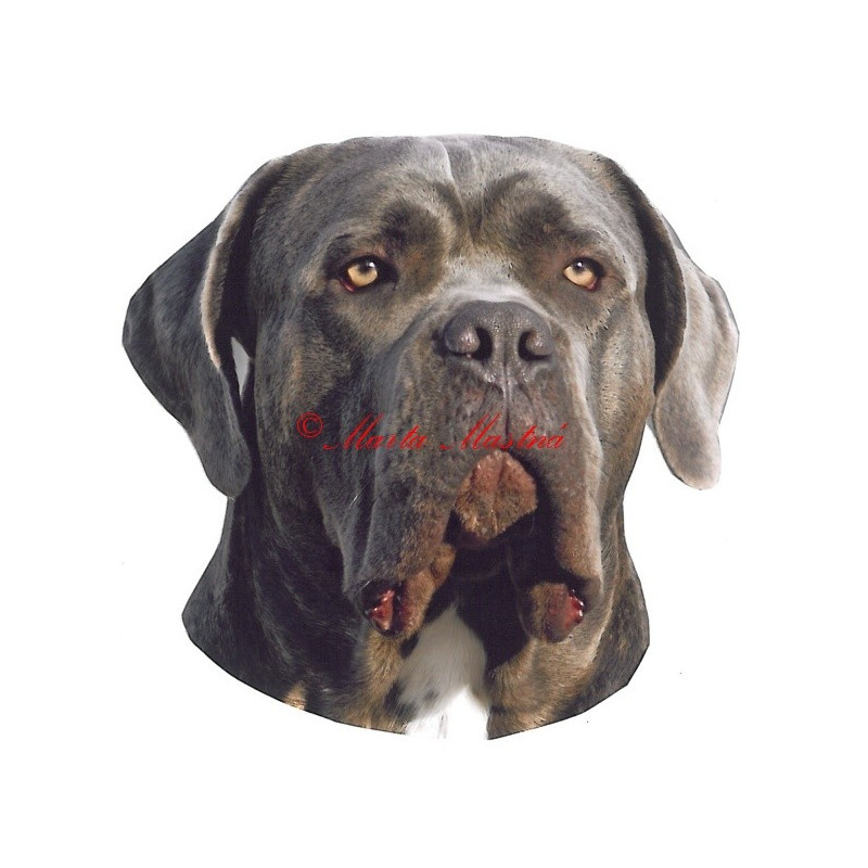 Samolepka cane corso