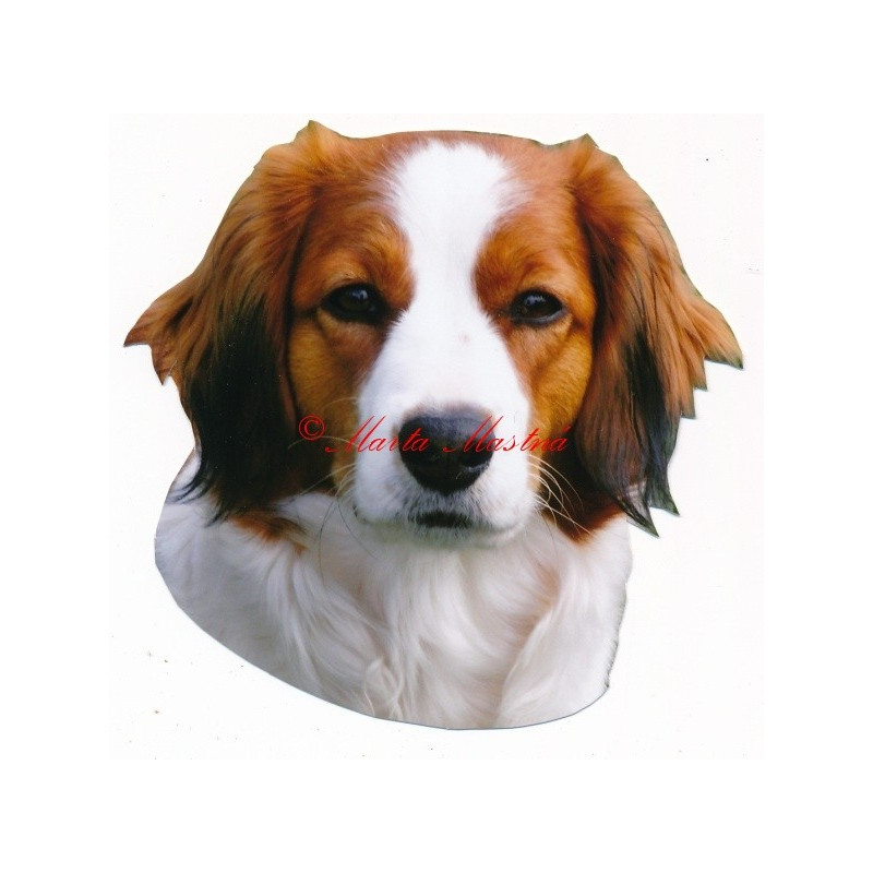 Samolepka kooikerhondje