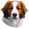 Samolepka kooikerhondje