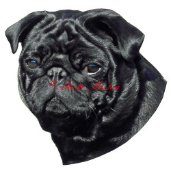 Samolepka mops archiv