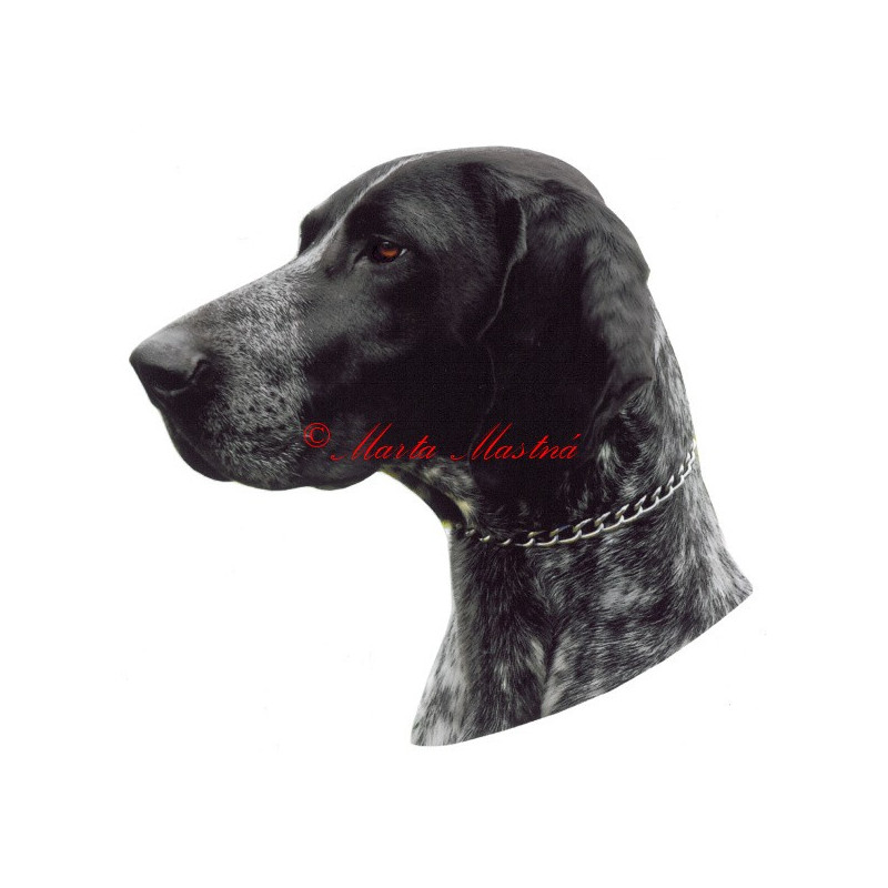 Samolepka německý krátkosrstý ohař archiv