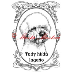 Tabulka lagotto romagnolo