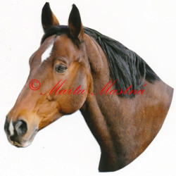 Samolepka hnědák, kůň, koně