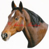 Samolepka hnědák, kůň, koně
