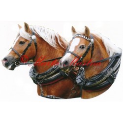 Samolepka hafling, kůň, koně
