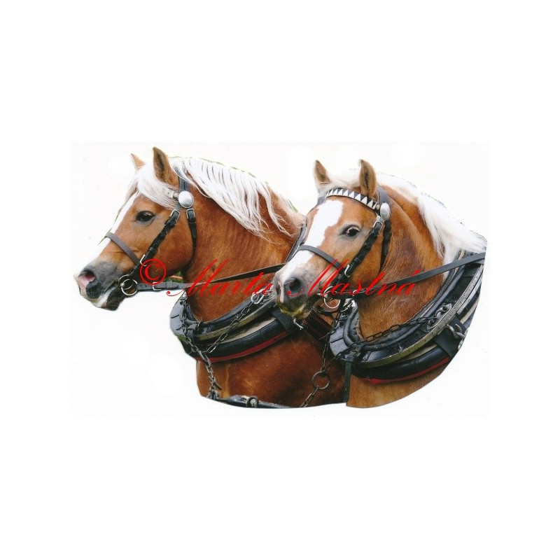 Samolepka hafling, kůň, koně