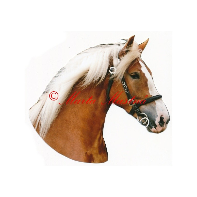 Samolepka českomoravský belgik, chladnokrevník, kůň, koně