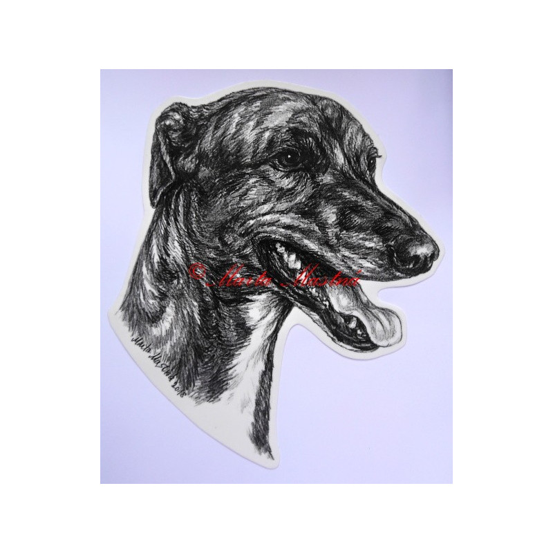 Samolepka greyhound, chrt