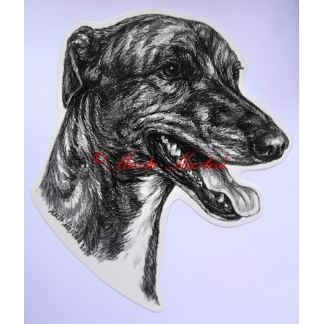 Samolepka greyhound, chrt