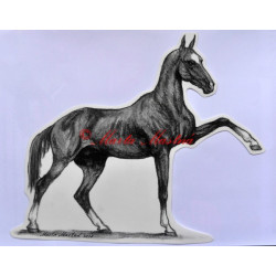 Samolepka achalteke, achaltekinec, kůň, koně