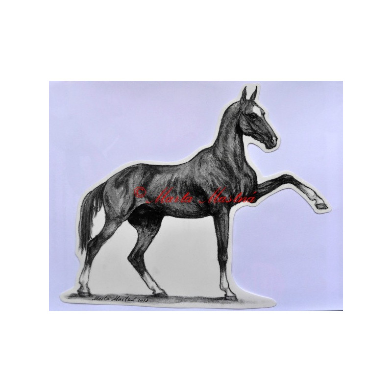 Samolepka achalteke, achaltekinec, kůň, koně