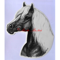 Samolepka hafling, kůň, koně