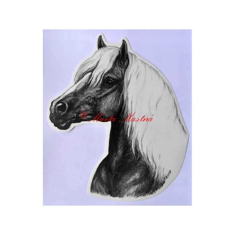 Samolepka hafling, kůň, koně