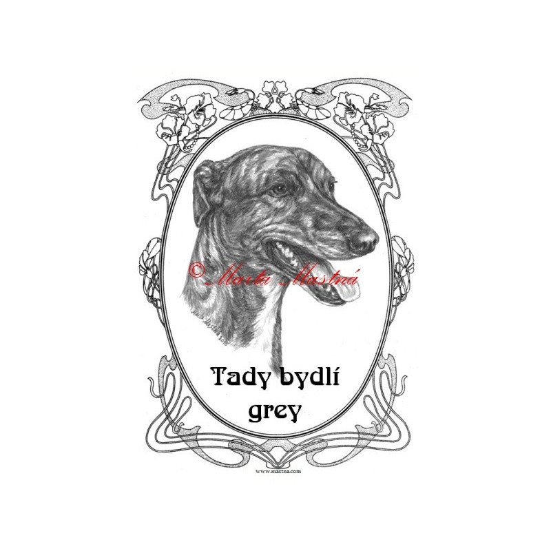 Tabulka anglický chrt greyhound