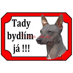 Tabulka americký bezsrstý teriér