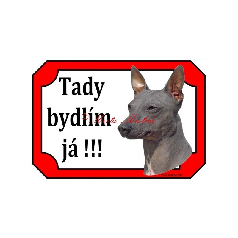 Tabulka americký bezsrstý teriér