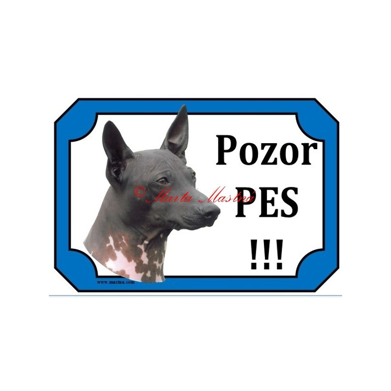 Tabulka americký bezsrstý teriér