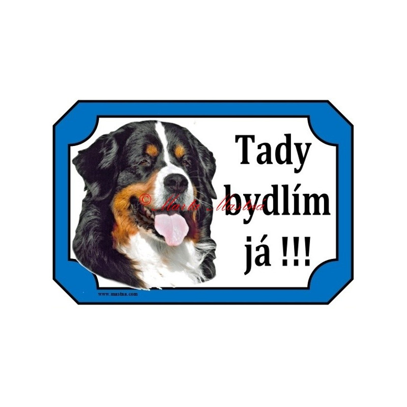 Tabulka bernský salašnický pes