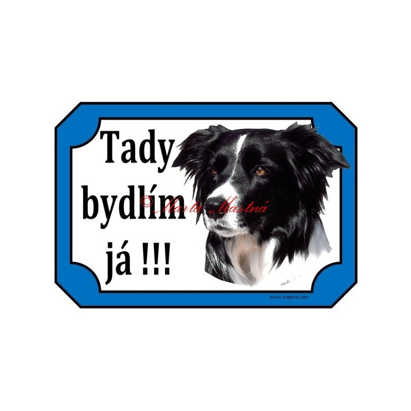 Tabulka border kolie