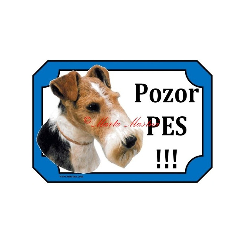 Tabulka foxteriér hrubosrstý