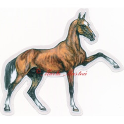 Samolepka achaltekinec, achal - teke