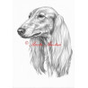 Obraz saluka, saluki, perský chrt, tužka - tisk