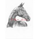 Obraz achaltekinec, achal-teke, kůň, koně, tužka - tisk