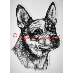 Australský honácký pes