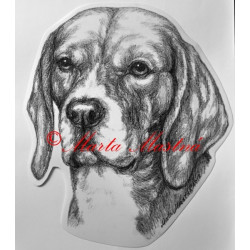 Samolepka bígl, beagle