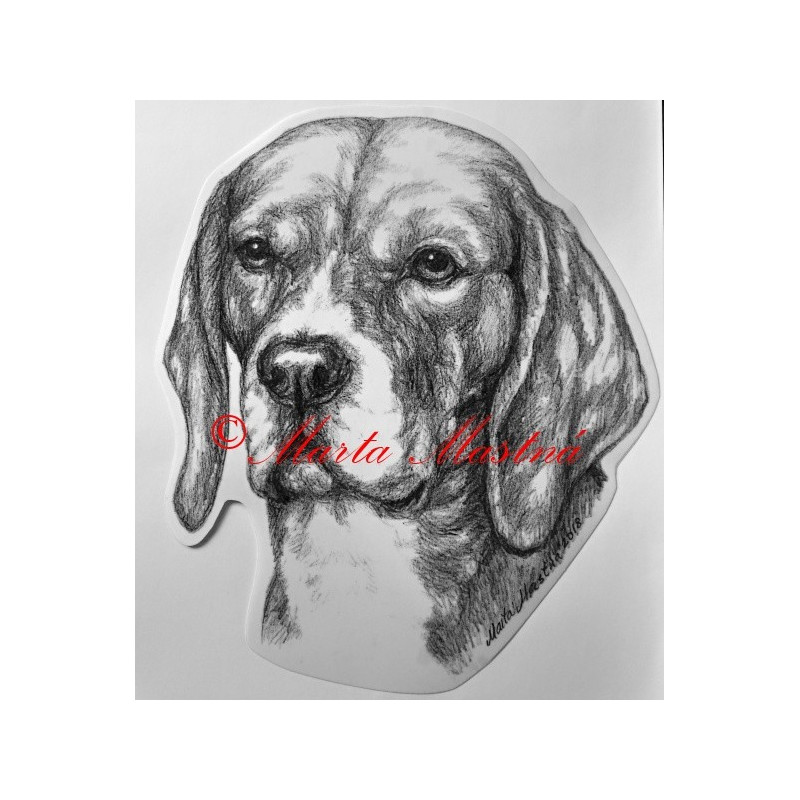 Samolepka bígl, beagle