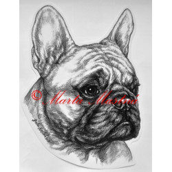 Samolepka francouzský buldoček fawn