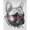 Samolepka francouzský buldoček fawn