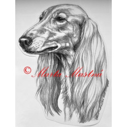 Samolepka saluki, saluka, perský chrt