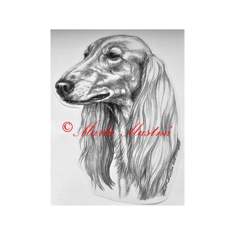 Samolepka saluki, saluka, perský chrt