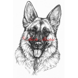 Samolepka německý ovčák