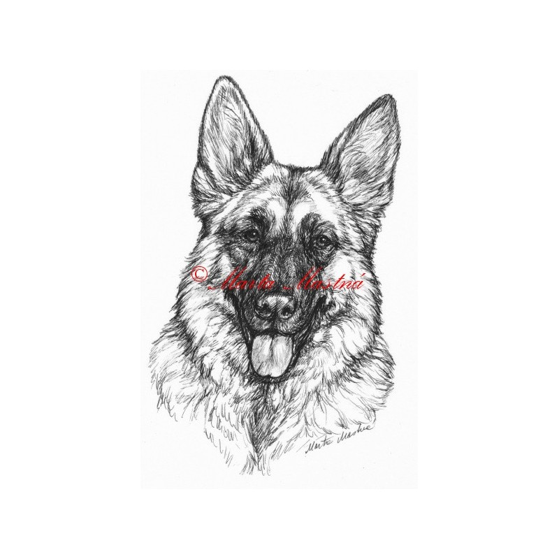 Samolepka německý ovčák